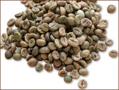 Pictures of high-quality coffee beans in Laos