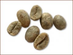 Varieties of boutique coffee beans Nicaraguan coffee beans