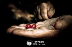 Cherish high-quality coffee beans. Good coffee comes from every link.