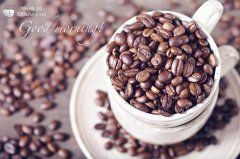 Boutique coffee beans knowledge coffee producing area Venezuela