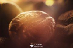 Boutique coffee beans knowledge Colombian coffee