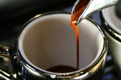 Coffee drinking technology in coffee shop Espresso drinking method