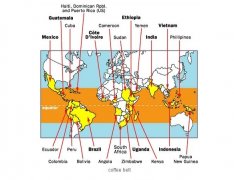Where do high-quality coffee beans with good knowledge come from?
