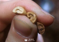 High-quality coffee, common sense, mixing of coffee beans.