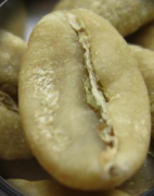 Description of coffee bean flavor introduction to the taste of famous coffee in Asia