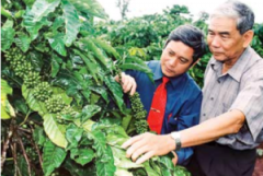 Cultural History of Fine Coffee an introduction to the History of Coffee in Vietnam