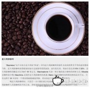 Boutique Coffee basic Coffee General knowledge Italian espresso