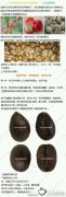 At present, there are at least 66 varieties of coffee.