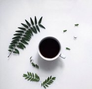 53 coffee producing areas in the world