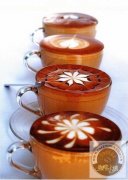 The ingredients of Coffee beans explain the positive understanding of caffeine