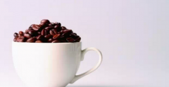 Common sense of Coffee Culture different Coffee cultures around the World