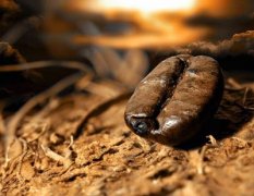 How to choose and buy coffee beans freshness is an important factor affecting the quality.