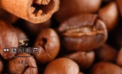 What is chicory coffee? Coffee basics