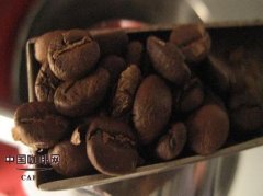 The basic knowledge of extra-deep roasting Coffee beans