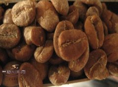 Moderate roasting of coffee beans baking technology of coffee beans