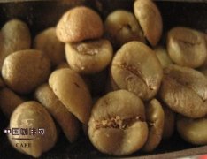 Shallow roasting of coffee beans accompany the roasting technology of coffee beans