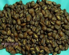 80% of the taste of coffee is determined by roasting.