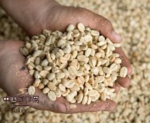 Basic knowledge of how to select high-quality coffee by hand
