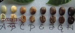 General knowledge of roasting of boutique coffee beans