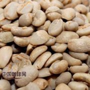 Harald coffee, the most complex and diverse coffee in Ethiopia.