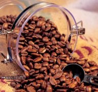 Coffee type Bourbon Santos Coffee mild taste bud test