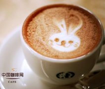 An introduction to fancy Coffee A popular fancy Coffee