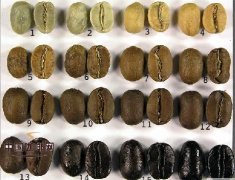 Knowledge of coffee roasting basic principles of roasting coffee beans
