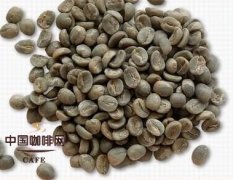 Methods of processing raw coffee beans with coffee beans