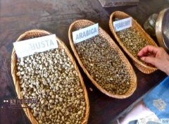 Why is Indonesian cat poop coffee so expensive?