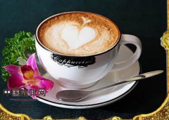 Introduction to fancy Coffee