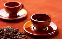 Professional knowledge of coffee boutique coffee science