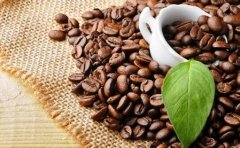 Coffee basic knowledge Coffee terminology that baristas must know