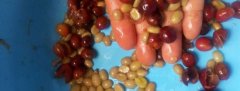What is the coffee bean honey treatment method?