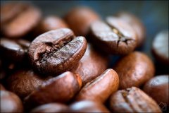 Boutique coffee beans four famous beans in the world