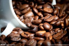 13 World Famous Coffee Beans