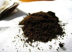 Is it a pity that the coffee grounds have been boiled and poured out? Teach you how to use the coffee grounds you've cooked.