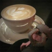 What kind of coffee is hazelnut coffee?