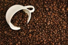 How to distinguish the quality of coffee beans and the skills of selecting good coffee beans