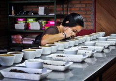 Baristas must know what a coffee cup is.