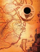 The effect of various substances in Water on Coffee