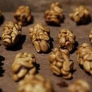 The Development of Indonesian Musk Coffee Kopi Luwak