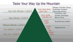 Effect of coffee bean planting altitude on coffee flavor