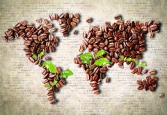 Treatment of coffee beans in the sun and cleaning methods