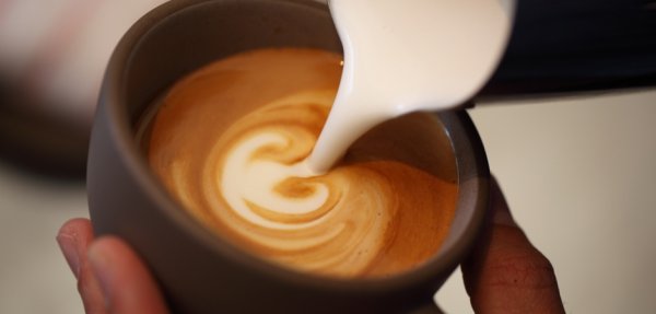 The method of drawing flowers in tulip coffee &  hand temperature measurement technique of milking foam