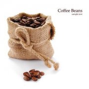 Profit Analysis of Cafe Operation joining Brand Coffee Shop