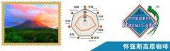 Characteristics of coffee from Guatemala: the Waijangs Plateau