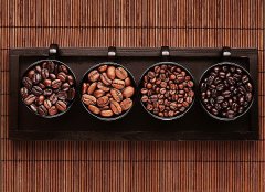 Introduction of several estates growing boutique coffee beans