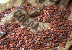 What is boutique coffee? What is the definition of boutique coffee?