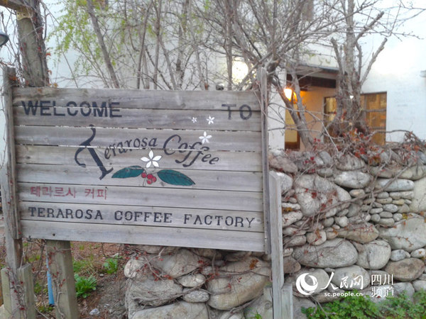 If you go to Terarosa, you will understand why Koreans are so obsessed with coffee.