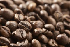 Blue Mountain Coffee